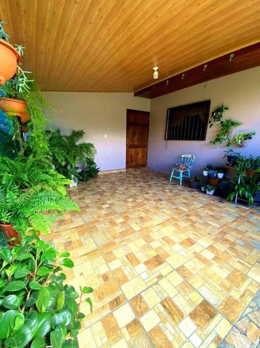 Peace Garden Apartment Monteverde Eksteriør bilde